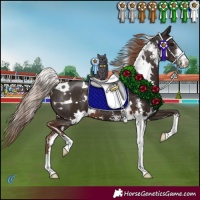 Horse Color:White Spotted Liver Chestnut Sabino 
