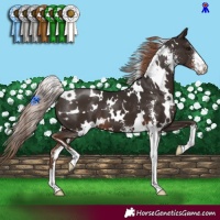 Horse Color:White Spotted Liver Chestnut Sabino