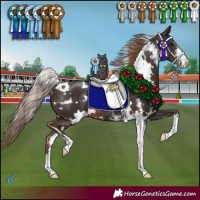 Horse Color:White Spotted Liver Chestnut Sabino