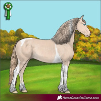 Horse Color:Perlino Tobiano Rabicano