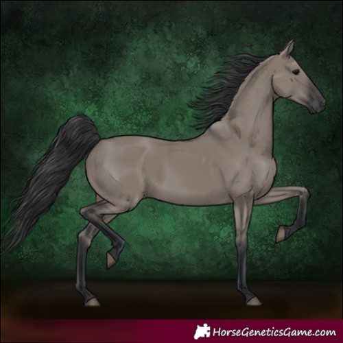 Horse Color:Grullo Rabicano 