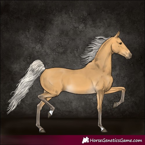 Horse Color:Silver Buckskin 