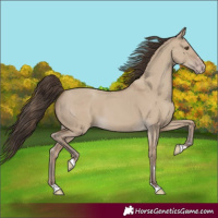 Horse Color:Classic Champagne Dun 