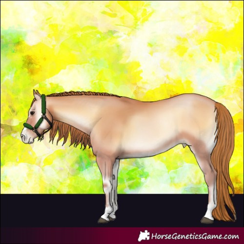 Horse Color:Bay Pearl Onyx 