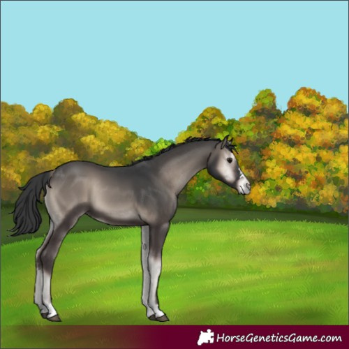 Horse Color:Blue Onyx Mushroom 