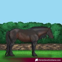 Horse Color:Brown 