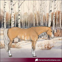 Horse Color:Silver Buckskin Sabino 