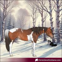 Horse Color:Bay Tobiano Rabicano 