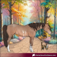 Horse Color:Sable Champagne Sabino Rabicano 