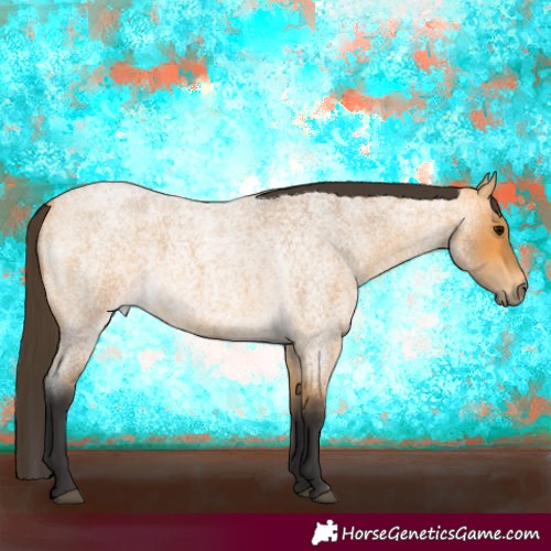 Horse Color:Buckskin Roan 