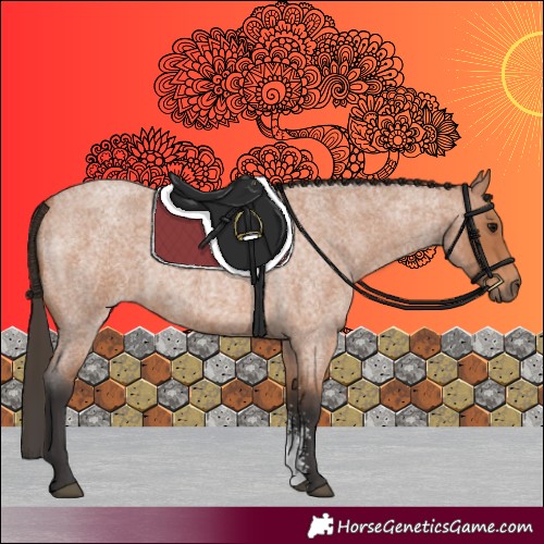 Horse Color:Bay Roan Sabino 