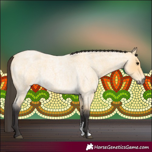 Horse Color:Buckskin Roan Sabino