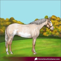Horse Color:Silver Bay Roan Pearl Frame 