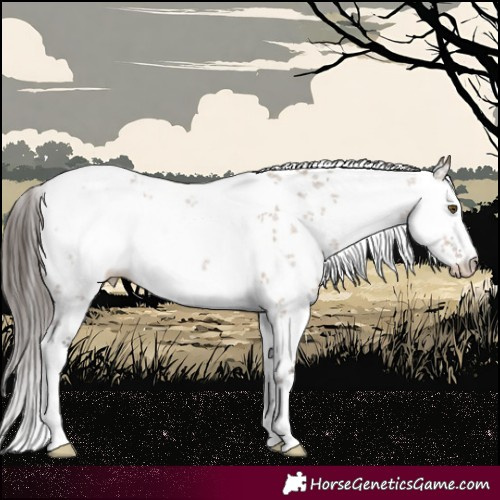 Horse Color:White Spotted Liver Red Dun Sabino Blanket 