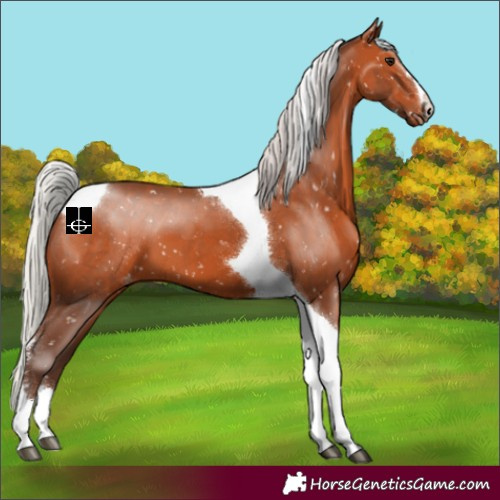 Horse Color:Silver Bay Tobiano Snowflake Varnish 
