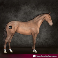 Horse Color:Sable Champagne