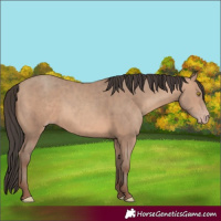 Horse Color:Sable Champagne 