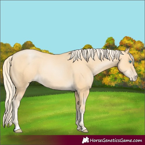 Horse Color:Palomino Pearl 