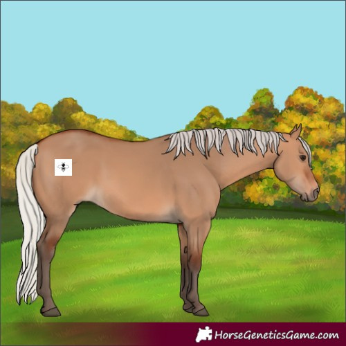 Horse Color:Silver Bay Dun 