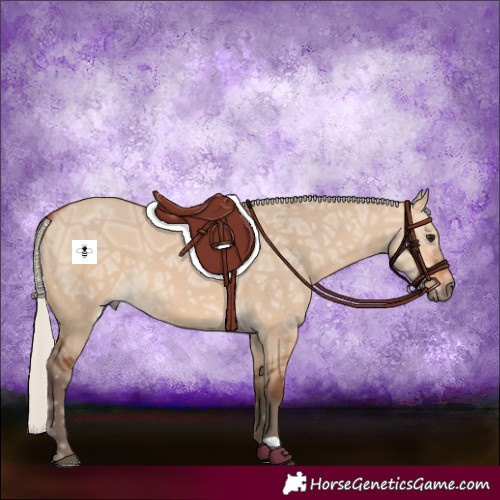 Horse Color:Silver Bay Ice Dun 