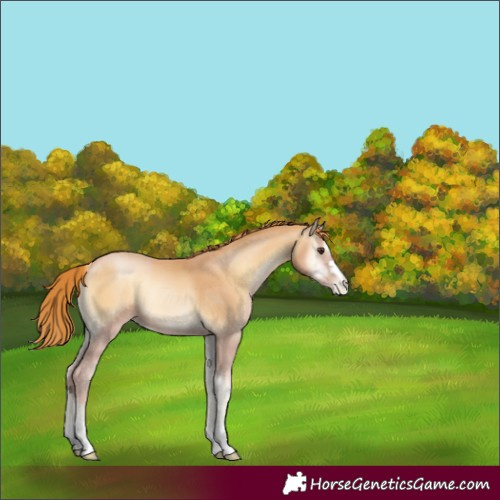 Horse Color:Red Onyx Pearl 