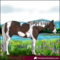 Horse Color:Silver Brown Tobiano Frame 
