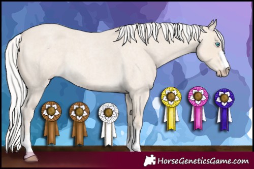 Horse Color:Silver Smoky Creme Roan 