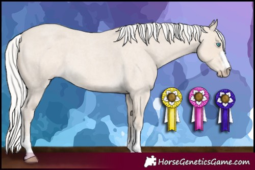 Horse Color:Silver Smoky Creme Roan 