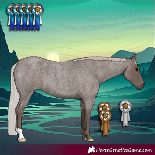 Horse Color:Silver Blue Roan 