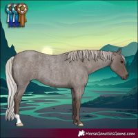 Horse Color:Silver Blue Roan 