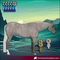 Horse Color:Silver Blue Roan