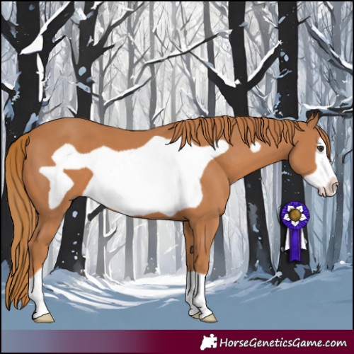 Horse Color:Chestnut Frame 