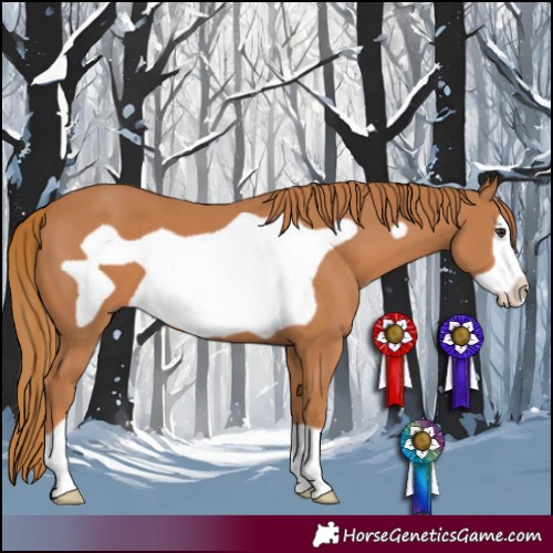 Horse Color:Chestnut Frame 