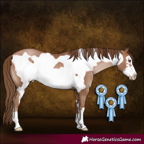 Horse Color:Brown Pearl Frame 