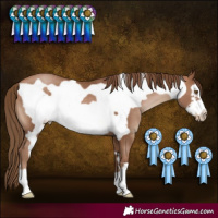 Horse Color:Brown Pearl Frame