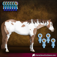 Horse Color:Brown Pearl Frame