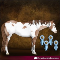 Horse Color:Brown Pearl Frame