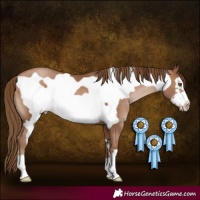 Horse Color:Brown Pearl Frame 