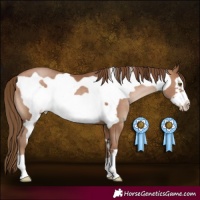 Horse Color:Brown Pearl Frame 