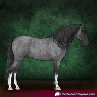 Horse Color:Blue Roan 