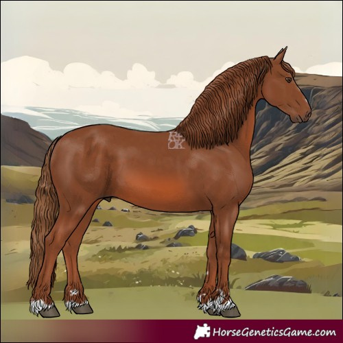 Horse Color:Chestnut 