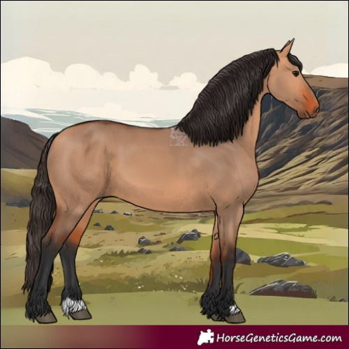 Horse Color:Bay Dun