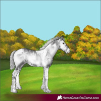 Horse Color:Silver Smoky Blue Onyx Chinchilla Ice Tobiano 