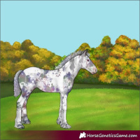 Horse Color:Nacre White Spotted Silver Brown Chinchilla Ice Tobiano 