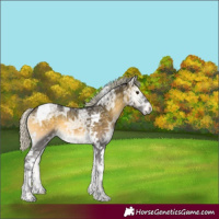 Horse Color:Silver Smoky Blue Onyx Chinchilla Ice Tobiano 