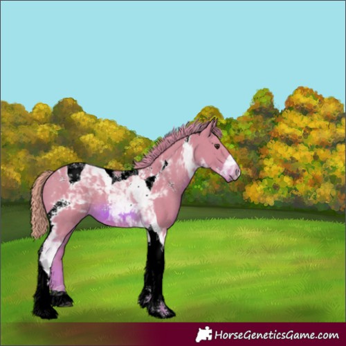 Horse Color:Watercolor Chestnut Tobiano 