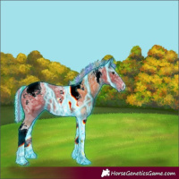 Horse Color:Painted Thunderstruck Silver Bay Ice Tobiano 