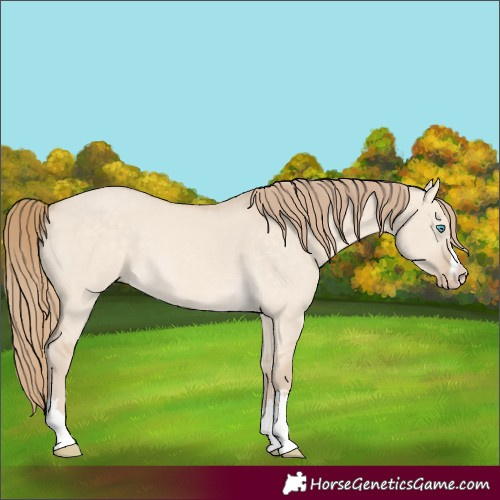 Horse Color:Perlino Dun