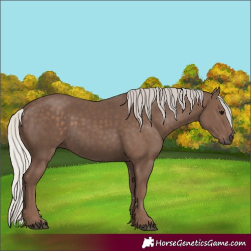 Horse Color:Silver Black 