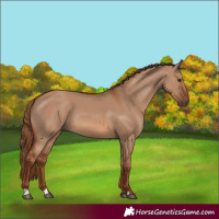 Horse Color:Red Dun 